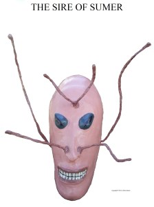 SAMSUNG DIGITAL CAMERA