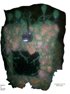 SAMSUNG DIGITAL CAMERA