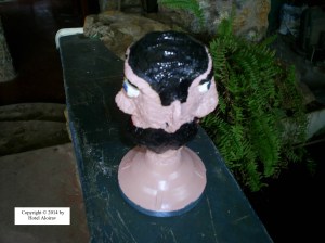 SAMSUNG DIGITAL CAMERA